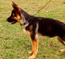 Structure of GSD can be evaluated at an early age