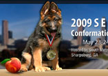 German Shepherd dog show Southeast Regional Conformation Show and Breed Survey
