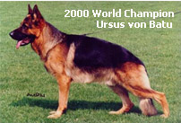 2000 World Champion Ursus von Batu